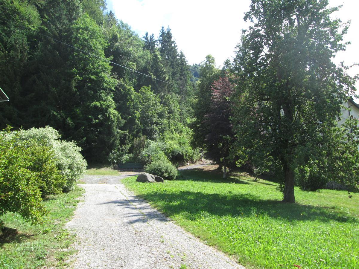 Schloss Manndorf Gaestehaus Kotschach-Mauthen Extérieur photo